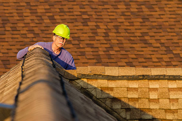 Best Roof Waterproofing Services  in Vley, AL